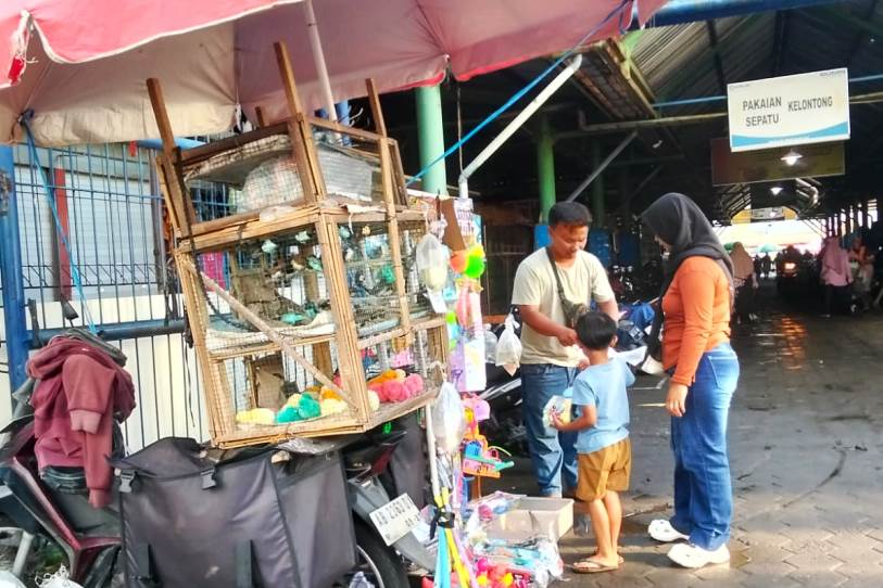 Burung Emprit: Dari Hama Sawah Jadi Rezeki Lukman
