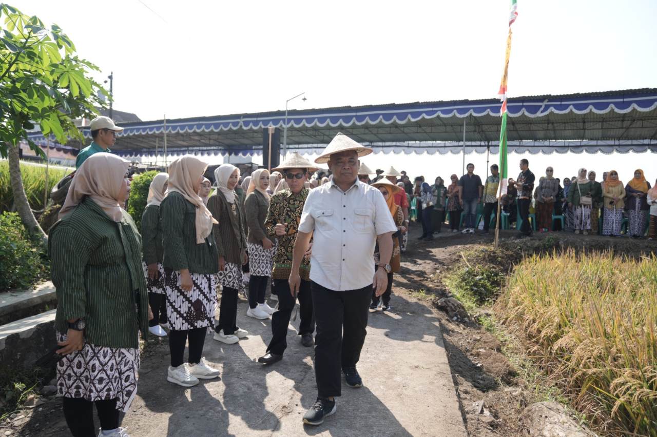 Wiwitan Tani Sinduadi, Harda Kiswaya Soroti Ancaman Alih Fungsi Lahan Pertanian