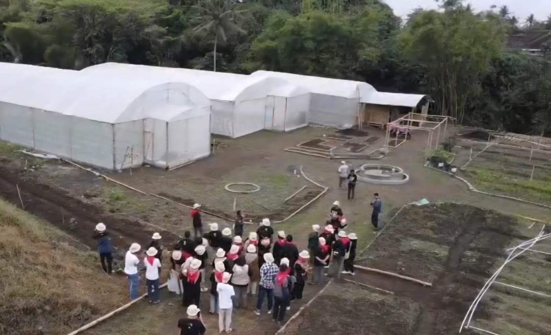 Pandowoharjo Menuju Wisata Edukasi Pertanian Berbasis Smart Farming