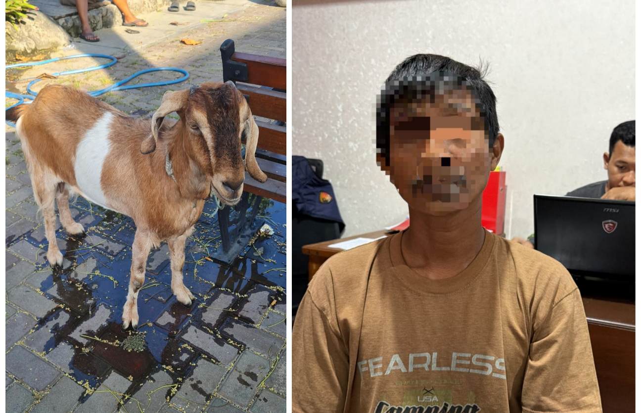 Terungkap! Begini Kronologi Polisi Tangkap Terduga Pencuri Kambing di Bantul
